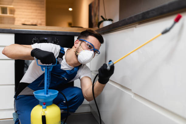 Best Cockroach Control Services  in Ina, IL
