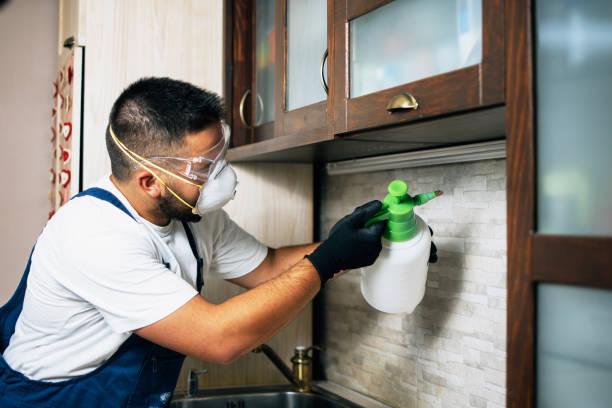 Best Pest Control Near Me  in Ina, IL