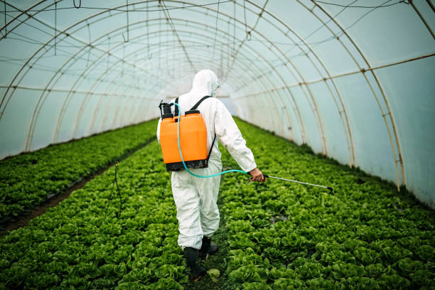 Best Commercial Pest Control Services  in Ina, IL