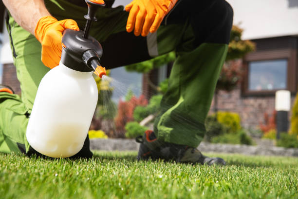 Best Best Pest Control Companies  in Ina, IL