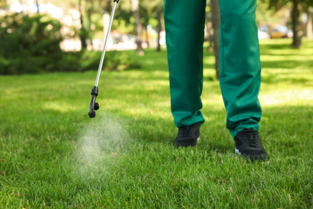Best Cockroach Control Services  in Ina, IL