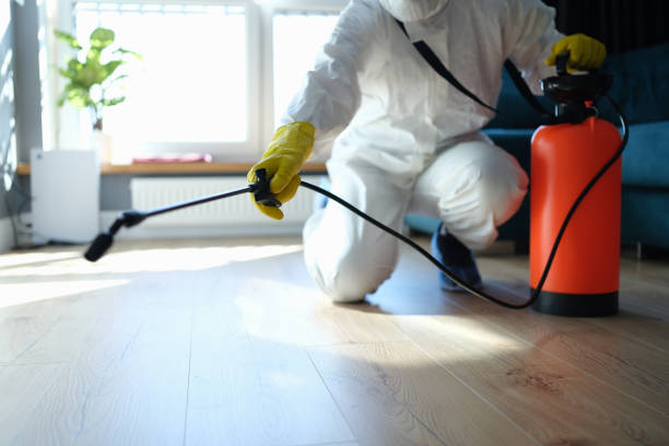 Best Termite Control Services  in Ina, IL