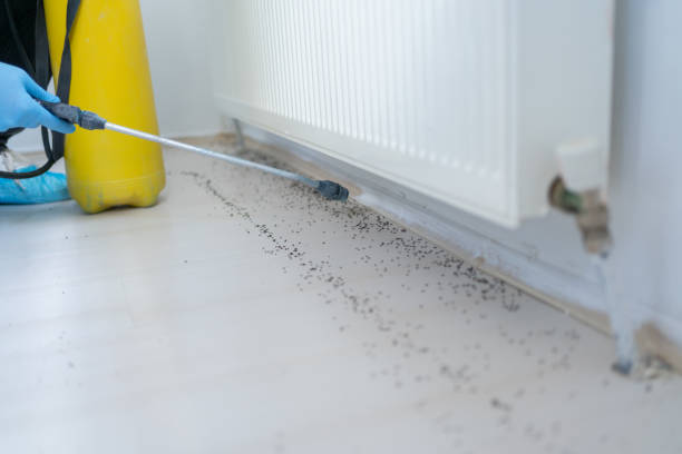  Ina, IL Pest Control Pros