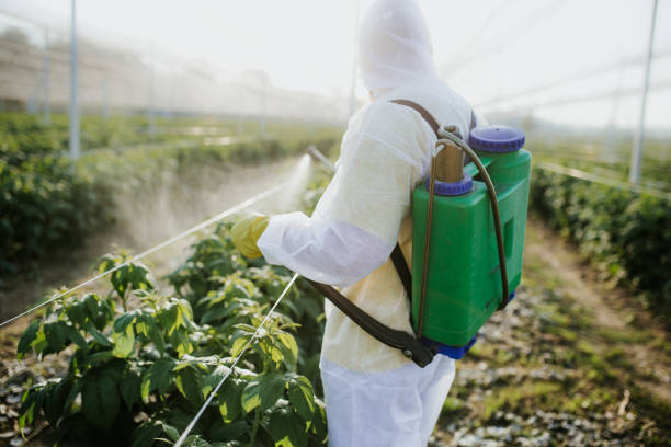 Best Rat Extermination Near Me  in Ina, IL